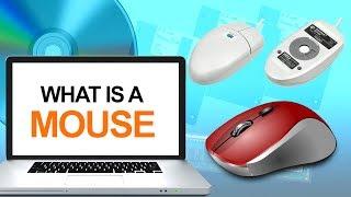 What is a Computer Mouse | Definition & Types of Mouse | How to Use Mouse | Computer Hardware