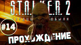 Смерч - Прохождение #14  STALKER 2: Heart of Chornobyl