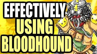 HOW TO EFFECTIVELY USE BLOODHOUND TO GET HIGH KILL GAMES (APEX LEGENDS WALKTHROUGH)