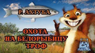 РУССКАЯ РЫБАЛКА/Russian Fishing 4 18+ ДОБИВАЕМ УКЛЕЙКУ НА БЕЛОРЫБИЦЕ