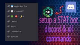 How to setup a STAT bot discord | all commands | DISCORD EDUCATION