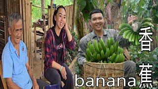 Ly Phuc Hang's Expansive Farm Visit: A Bumper Year for Bananas! SUNG A PAO