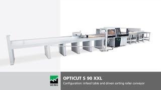 Pushfeed saw OptiCut S 90 XXL | Configuration: Infeed table and driven sorting roller conveyor