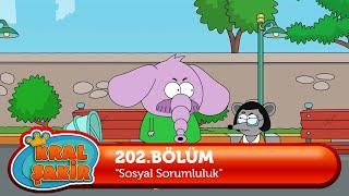 Kral Şakir 202. Bölüm  Sosyal Sorumluluk