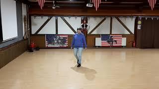 Dizzy Lernvideo Teach & Dance Line Dance Biene Teil 1