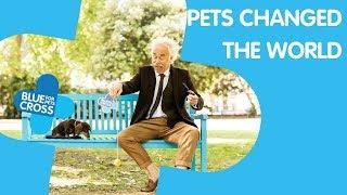 How Pets Changed The World | Blue Cross