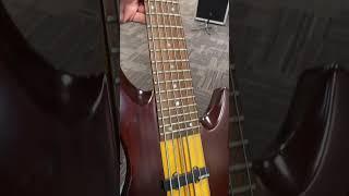 Samick Artist Series 6 String Bass #shorts #bass