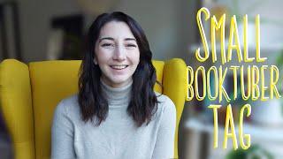 The Small Booktuber tag ‍️