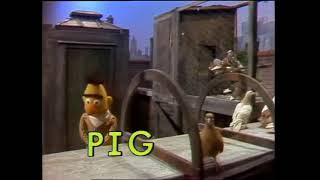Classic Sesame Street - Bert Sings Pigeon