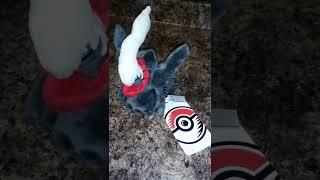 Pokemon Darkrai Sitting Cuties Plush 7 ½ In. Review @EricaChristy