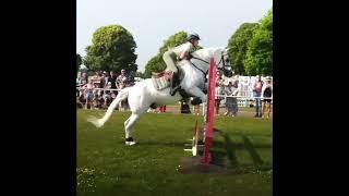 Harlow and Panda at Royal Norfolk Show  :: #Harlowlunawhite