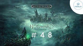 Hogwarts Legacy #48 Finde den Schatz anhand von Henriettas Karte