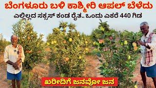 1 ಎಕರೆಯಲ್ಲಿ 20 ಕ್ವಿಂಟಲ್ ಆಪಲ್ ಬೆಳೆದ ಬೆಂಗಳೂರು ರೈತ | Kashmiri Apple farming in Karnataka #kannada