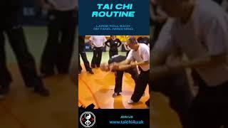 Tai Chi Large Roll Back - YMAA - by GM Yang, Jwing-Ming