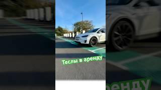 Возьми Теслу в аренду и наслаждайся  #tesla #автомобили #TeslaRent #TeslaRentSpain