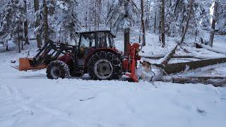 FPV-Sturmholz aufarbeiten & Holzrücken Teil1 | MF 4225 sound -Tiger 8to Seilwinde | holz, wald, asmr