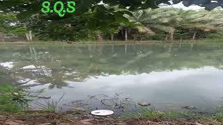 kedamaian dikolam mancing#shorts