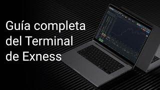 Guía completa del Terminal de Exness