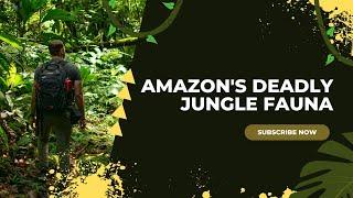 Top 10 Most Dangerous  Animals  in Amazon Rainforest