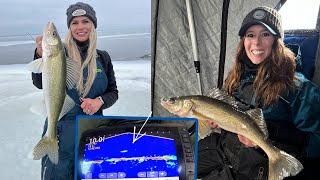 Red Lake Walleye | Lures, Location  & More