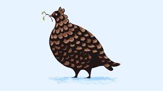 The Pinecone Bird | Worldbuilding