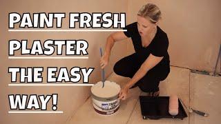 Quick And Easy Tips For Painting Fresh Plaster Plus The Best Paint To Use!