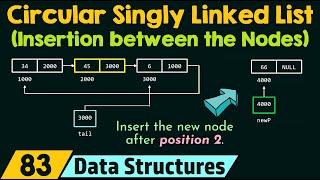 Circular Singly Linked List (Insertion between the Nodes)