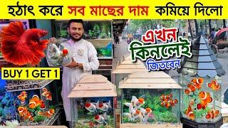 Aquarium Price In Bangladesh Aquarium Fish Price In Katabon  Fish Wholesale Shop In Katabon