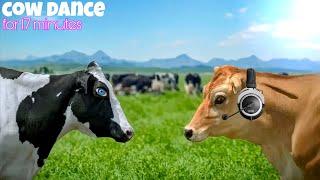 FUNNY COW DANCE FOR 17 MINUTES│ Cow Song & Cow Videos 2024 | Cow music | funny dancing cow