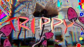 Machy-TRIPPY (official music video)