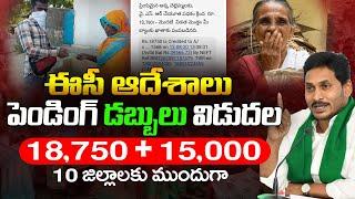 3 పథకాలు పేమెంట్  అప్డేట్ | Amma vodi | Cheyutha Payment | EBC Nestham | AP Schemes |   @ViralVasu