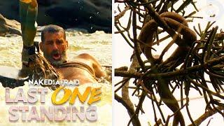 Most Dangerous Moments of Season 1 | Naked and Afraid: Last One Standing | Discovery