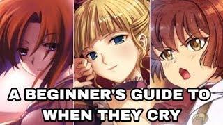 A Beginner's Guide to When They Cry