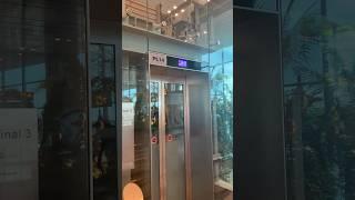 Hitachi UAG Bottom-Traction Panoramic #Elevator - Singapore Changi Airport Terminal 3 (PL14) #shorts