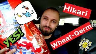 HIKARI Wheat-Germ. ЯПОНСКИЙ корм для КАРП КОИ И ЗОЛОТЫХ РЫБОК.