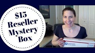 $15 Reseller Mystery Box Unboxing | Selling on Poshmark for Profit