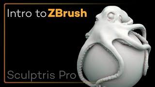 Intro to ZBrush 013 - Sculptris Pro! Tessellation, tessemation, update geo changes on the fly!