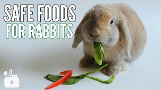 SAFE FOODS FOR RABBITS