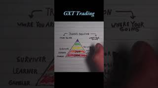 The secret of wealth traders #trading #Investing #StockMarket #Forex #Business #Entrepreneurship