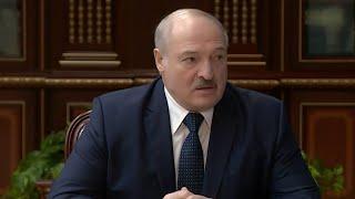 Лукашенко о лесной отрасли: это выгодная для нас продукция