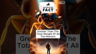 Ants vs. Humans: The Mind-Blowing Weight Comparison!