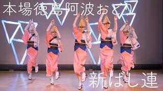 【阿波踊り】新ばし連 阿波おどり会館夜の公演 | Awaodori in Tokushima Japan