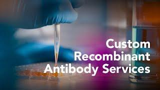 R&D Systems Custom Recombinant Antibody Services - Bio-Techne