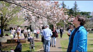 Когда Сакура под окнами /Sakura in Japan/Cinematic video