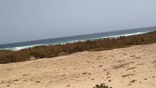 Desert and island in Senegal Africa ️