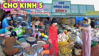 Đi Chợ Kinh 5 Tân Hiệp Kiên Giang Có Khu Chợ Cá Nhộn Nhịp | Đây Đó Kiên Giang