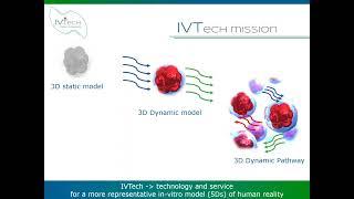 BREAST CANCER: NEW PERSPECTIVES FOR IN-VITRO STUDIES