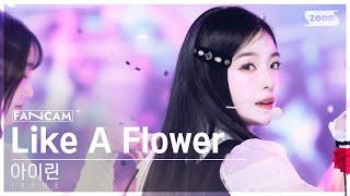 [안방1열 직캠4K] 아이린 'Like A Flower' (IRENE FanCam) @SBS Inkigayo 241215