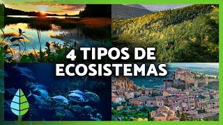 TIPOS de ECOSISTEMAS y sus CARACTERÍSTICAS ️️ (Terrestres, Acuáticos, Mixtos y Artificiales)