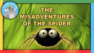 Minuscule | Best of the Spider! ️ | Compilation |  Little Amigo